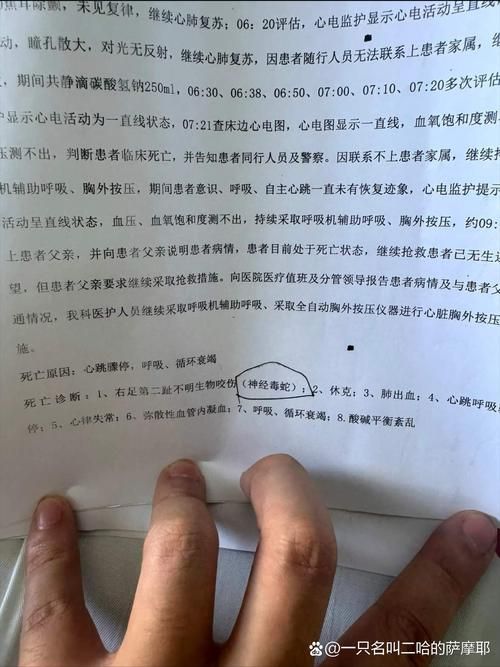 详细阅读:昌黎县累计报告死亡病例12例/昌黎县累计报告死亡病例12例是哪里的 昌黎县累计报告死亡病例12例/昌黎县累计报告死亡病例12例是哪里的