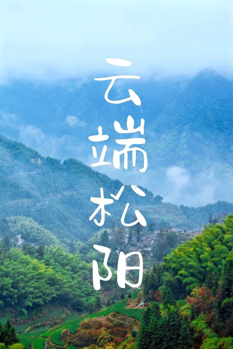  一张图看懂浙江省丽水市松阳县近5天疫情通报:丽水松阳疫情防控指挥中心