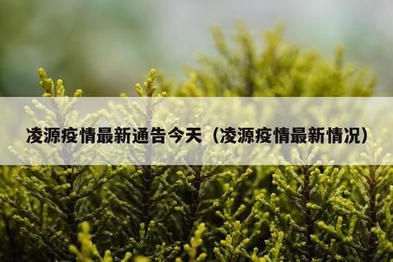 凌源市什么时候可以解封/凌源是疫区吗