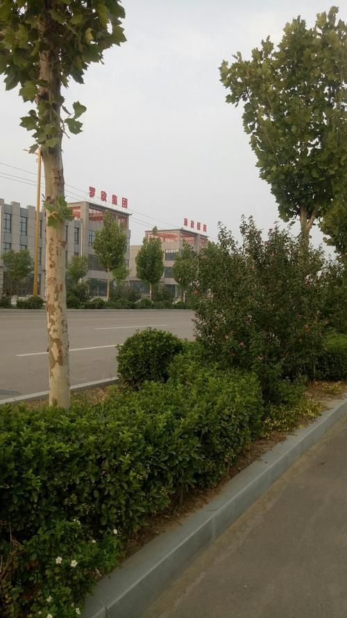 山东省聊城市高唐县什么时候可以管控区/高唐什么时候封城