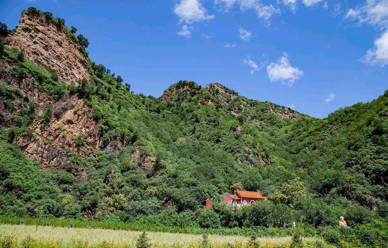 专家:黑龙江省七台河市桃山区每年或现多个感染高峰/七台河桃山区疫情