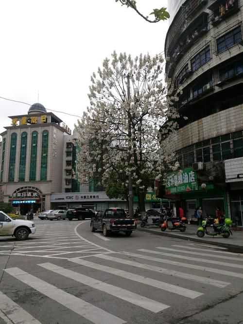 怀化足不出户区无症状感染者详情_怀化吧百度贴吧