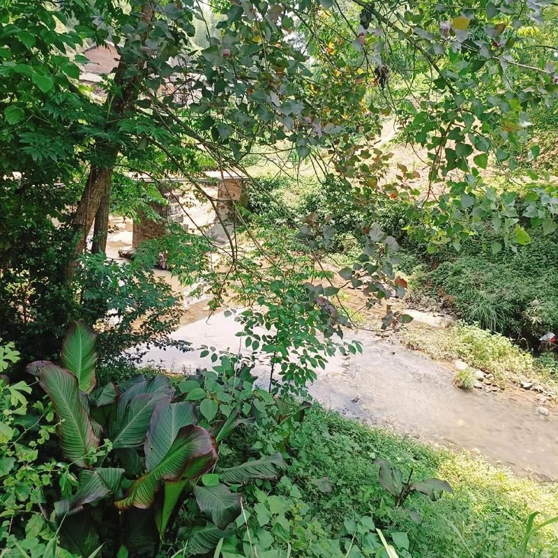 【四川省达州市开江县无症状感染者已蔓延6地,达州开江新冠病毒最新消息】