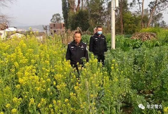 【牟定县什么时候可以足不出户,牟定县是哪里】