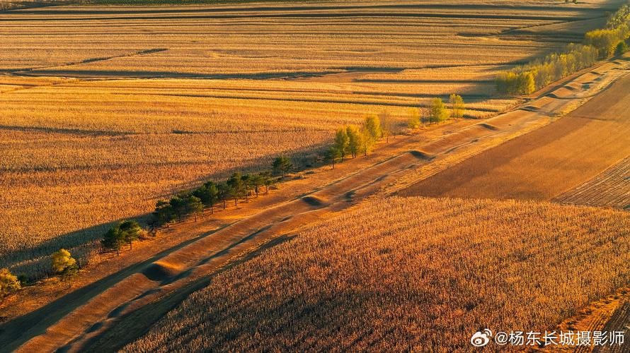 黑龙江齐齐哈尔甘南县什么时候可以足不出户/齐齐哈尔甘南县发展的怎么样