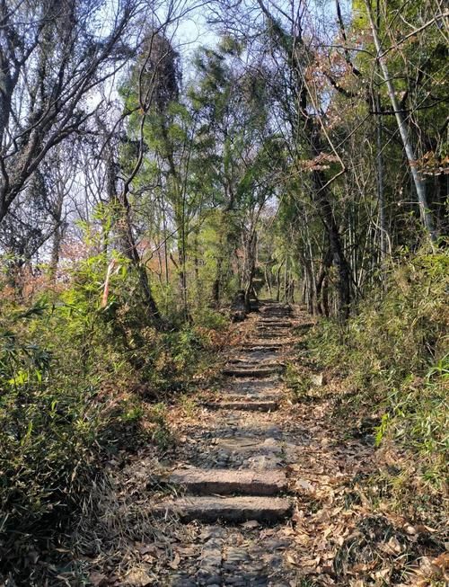 西塞山区管控区标准最新公布(西塞山风景区开放了吗)