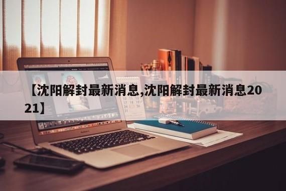  辽宁省沈阳市新民市解封区重症详情:沈阳市新民市疫情防控