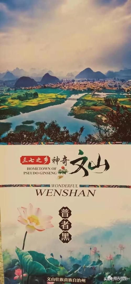【云南文山壮族苗族自治州文山什么时候可以静默_云南文山什么时候停运】