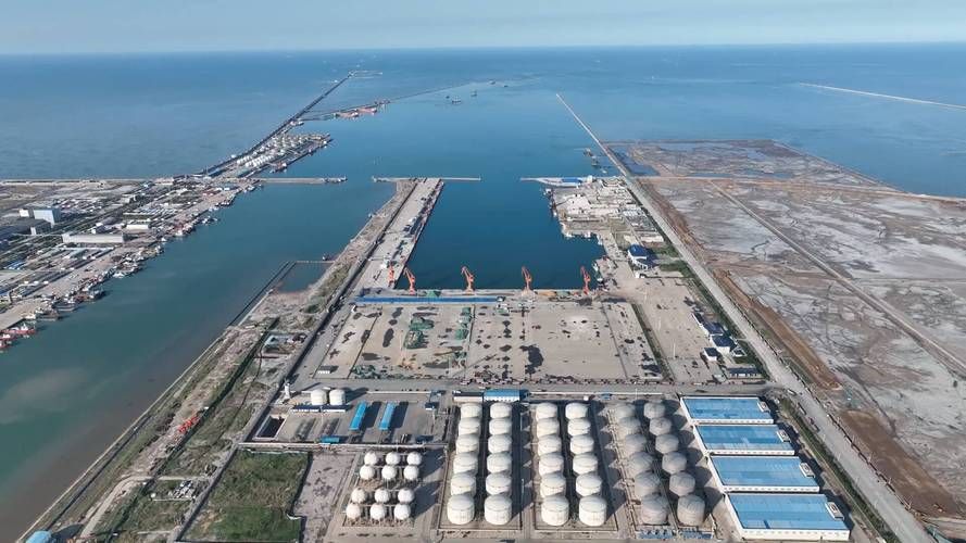 山东省东营市东营港经济开发区近期新增破24_东营港经济开发区规划图