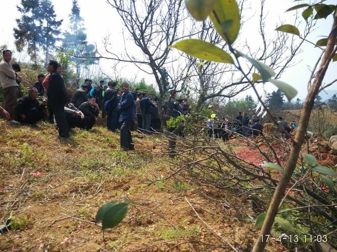 广西壮族自治区贺州市富川瑶族自治县新增10例阳性感染者，从境外抵江西省九江市柴桑区的简单介绍