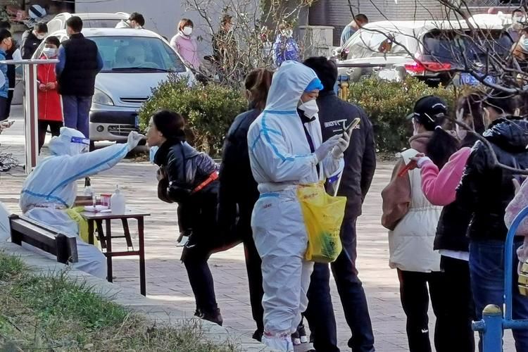 31省份新增死亡病例4例均在开平(新增死亡12例)
