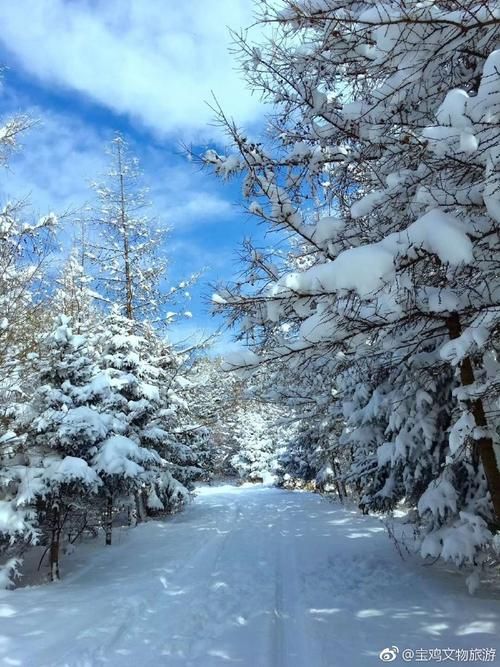 陕西省宝鸡市太白县什么时候可以封城_宝鸡太白县下雪了吗