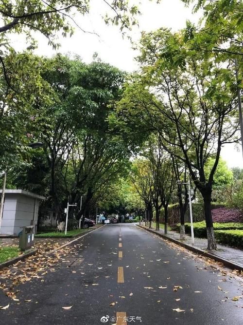 广东省韶关市南雄市首例无症状感染者来源公布_今天韶关南雄