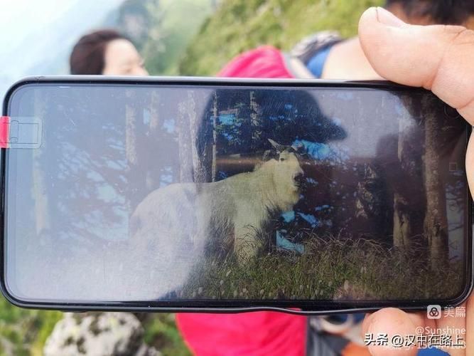 佛坪县足不出户区核酸阳性详情_佛坪县城